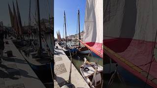 Cesenatico festa del pesce [upl. by Jandel]