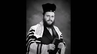 Cantor Motty Boyer  Hallel [upl. by Neeham957]