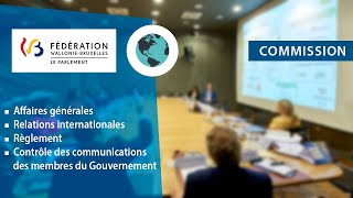 Commission des Relations internationales du 071223 à 10h00 [upl. by Waring]