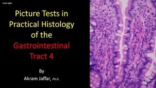 Picture tests in histology of the gastrointestinal system 4 [upl. by Rezeile348]