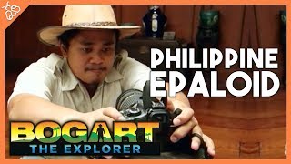 Bogart the Explorer  The Philippine Epaloid [upl. by Nelra]