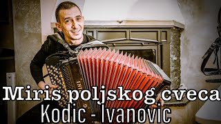 Miris poljskog cveca  Mirko KodicMarko Ivanovic [upl. by Edyaj570]