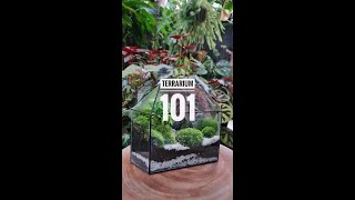 How to make a TERRARIUM [upl. by Adneram721]