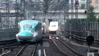 【JR東日本】ダイヤの乱れで信号待ち頻発の東北新幹線＠東京駅 [upl. by Waki]