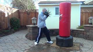 Boxing amp Roundhouse Kicks on the Wavemaster XXL Bag  January 29 2021 [upl. by Centonze]