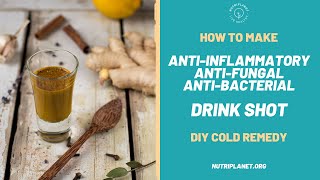 DIY AntiFungal and AntiInflammatory Drink Shot Recipe [upl. by Cates]