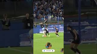 Arbitro ma quello non è fallo kvaratskhelia napoli shorts [upl. by Cosenza715]