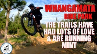 Whangamata bike park The trails have had lots of love amp are running mint [upl. by Khanna]