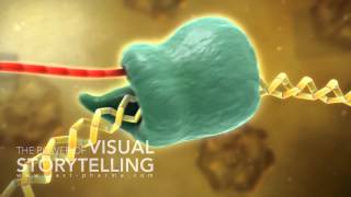 Hepatitis B Treatment Mode of Action Animation [upl. by Skricki]