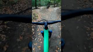 Stumpjumper 15 Shredding [upl. by Neehahs]