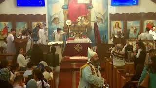 St Philopater amp St Mina Coptic Orthodox Church Live Stream [upl. by Melita237]