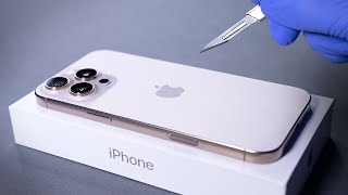 iPhone 16 Pro Max Unboxing and Camera Test  ASMR [upl. by Bridget]