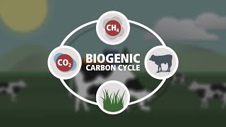 Biogenic Carbon Cycle [upl. by Niak]