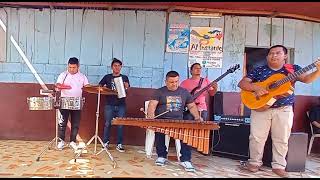 Marimba flor de pino con la Cumbia Chinandegana [upl. by Nolyag]