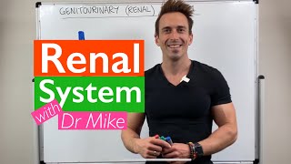 Renal System  Overview [upl. by Whitson]