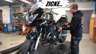 Sie will einfach nicht mehr anspringen  Suzuki Bandit 650 [upl. by Mariko]