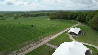 Drone shot of Gusbourne Vineyard Kent UK [upl. by Etnohc]