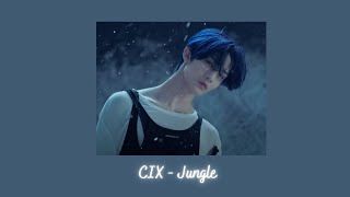 CIX  Jungle slowed  reverb [upl. by Dej600]