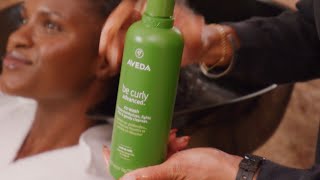 CoCreated By Textured Hair Experts  Be Curly Advanced  Aveda [upl. by Atsejam]