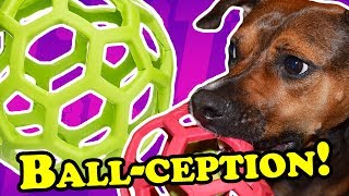 Simple Yet Effective  DOG TOY REVIEWS  JW Holee Roller Tug amp Treat Ball [upl. by Schultz]