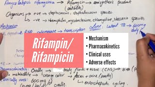 Rifampin  Rifampicin  Mechanism Pharmacokinetics Clinical Uses Adverse Effects UrduHindi [upl. by Kynthia]