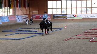 Deutsche Meisterin Junior Trail Bettina Neubauer und ihr Hengst quotBay like Chocolatequot [upl. by Bound]