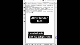 Show hidden files in SageMaker Studio Notebooks Jupyter Notebooks and JupyterLab aws python [upl. by Rephotsirhc980]