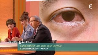 SANTE La conjonctivite  une plaie pour les yeux CCVB [upl. by Ahsikat]