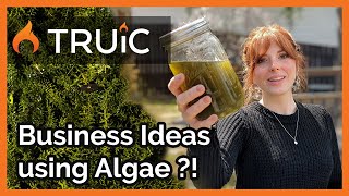 A Sustainable Business You Can Start at Home  Algae Farm Business Ideas [upl. by Yves]