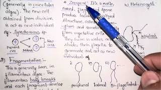 Vegetative and Asexual Reproduction in Algae  BSc Botany 1st Semester Notes  Gauhati University [upl. by Beller138]