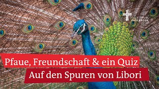 Paderborn feiert Libori Geschichten vom Liborifest und der Freundschaft hier bei LiboriTV [upl. by Welcy]