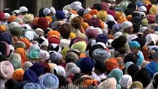 Devotees gathered to pay their respects at the Golden temple [upl. by Kirit]