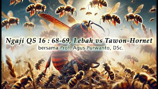 ITS Ngaji AAS Selasa Subuh Lebah Tawon vs Hornet [upl. by Einapets272]