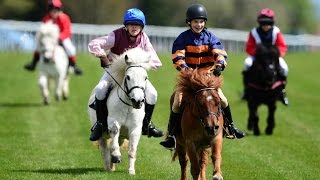 Shetland pony racing [upl. by Ylrebme]