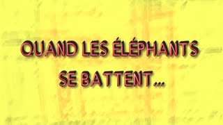 QUAND LES ELEPHANTS SE BATTENT EP26 BURKINA FASO [upl. by Yllatan]