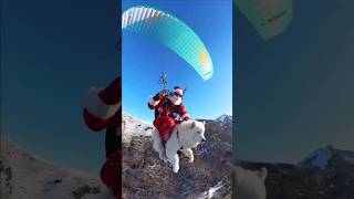 This dog loves paragliding 🥹❤️ shorts [upl. by Nilac501]