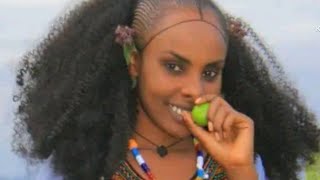 ወዛምዋ Halefom Baranto Raya Tigrigna Musicamazing new [upl. by Jotham]