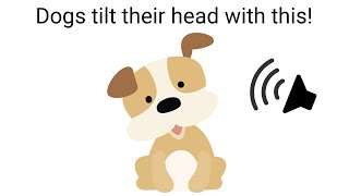 Sounds that makes Dogs tilt their head [upl. by Elesig]