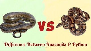 Anaconda Vs PythonWho is more Powerful [upl. by Afesoj911]