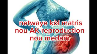 Netwaye kòl matris nou AK pati reproduction nou medam [upl. by Ahcire14]