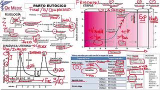 6 RM19 1V DIA 2 OBSTETRICIA PARTO EUTOCICO [upl. by Jakob645]