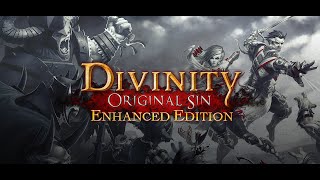 Divinity Original Sin Enhanced Edition Trailer [upl. by Robins779]