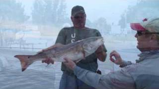 Florida redfishing with Captain Jon Lulay in Mosquito lagoon [upl. by Mary]