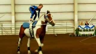 American Vaulting Championship  Gymnastics On Horseback  2 [upl. by Range]