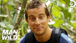 Bear Grylls Reveals His Best Jungle Survival Tips  Man vs Wild  Discovery [upl. by Philipson]