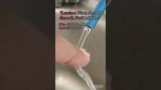 Laminar flow example smooth fluid motionphysics ytshorts youtubeshorts shorts science fluid [upl. by Pickar262]