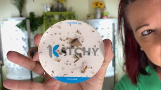 USING KATCHY INDOOR BUG TRAPS FOR OVER A YEAR  FULL REVIEW [upl. by Yup]