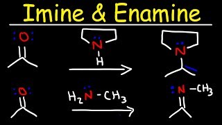 Imine and Enamine Formation Reactions With Reductive Amination [upl. by Selinda]