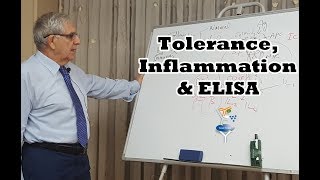 Tolerance Inflammation amp ELISA  عدم الاستجابة المناعية، الالتهابات و الإلايزا [upl. by Nothgierc]