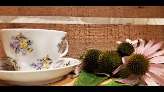 Immune Support Tea Echinacea [upl. by Garrek]